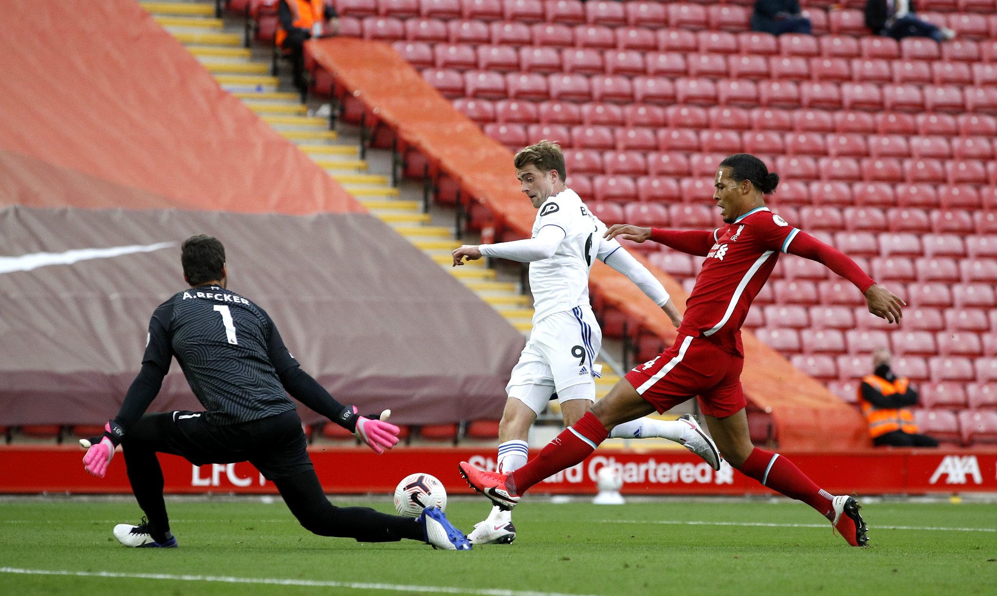 手戈登正式 手戈登正式